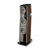 Focal Sopra N°2 Smoked Oak_1